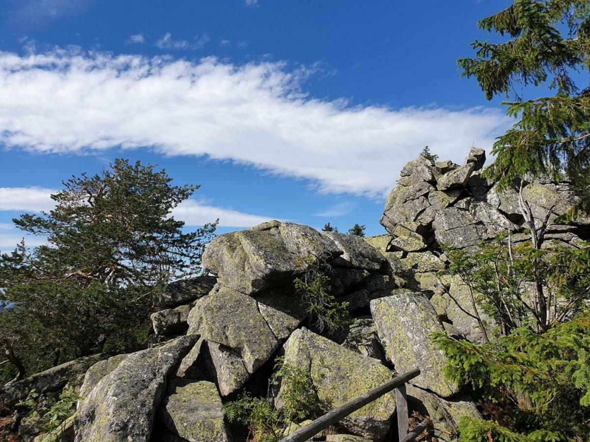 Ferienwohnung Fichtelmountain Fichtelberg Eksteriør billede